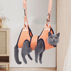 Orange small size