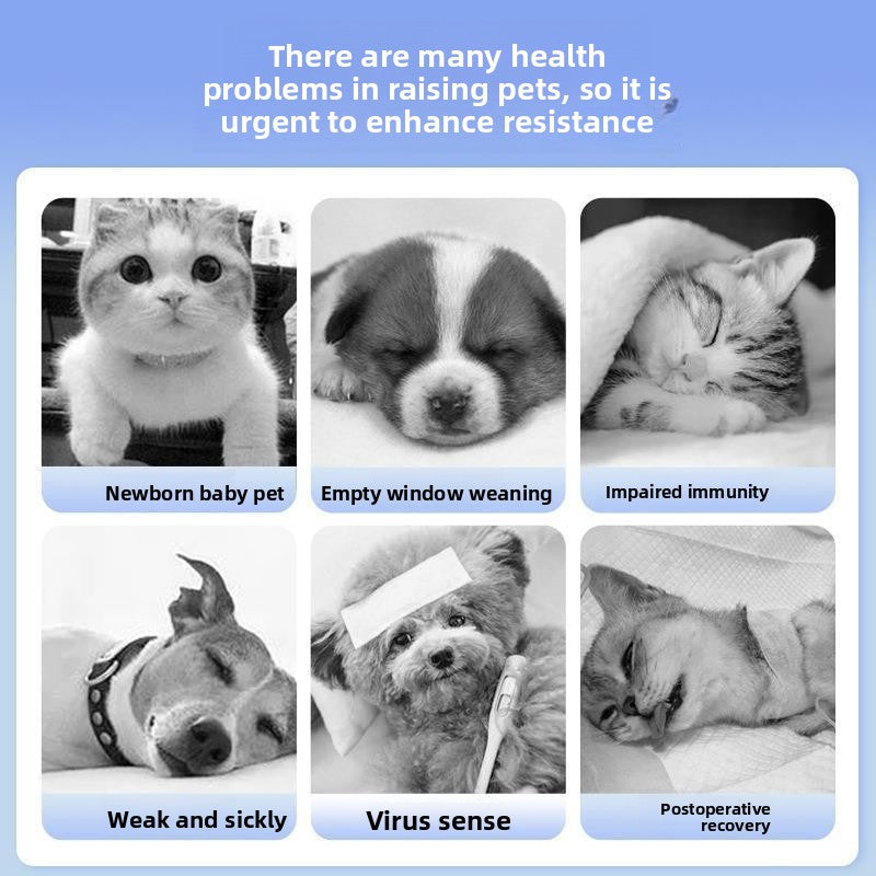 Cat lactoferrin