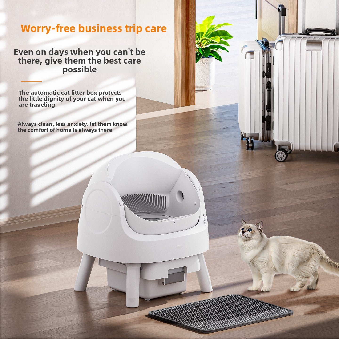 Cat Litter Box