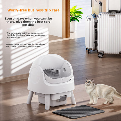 Cat Litter Box