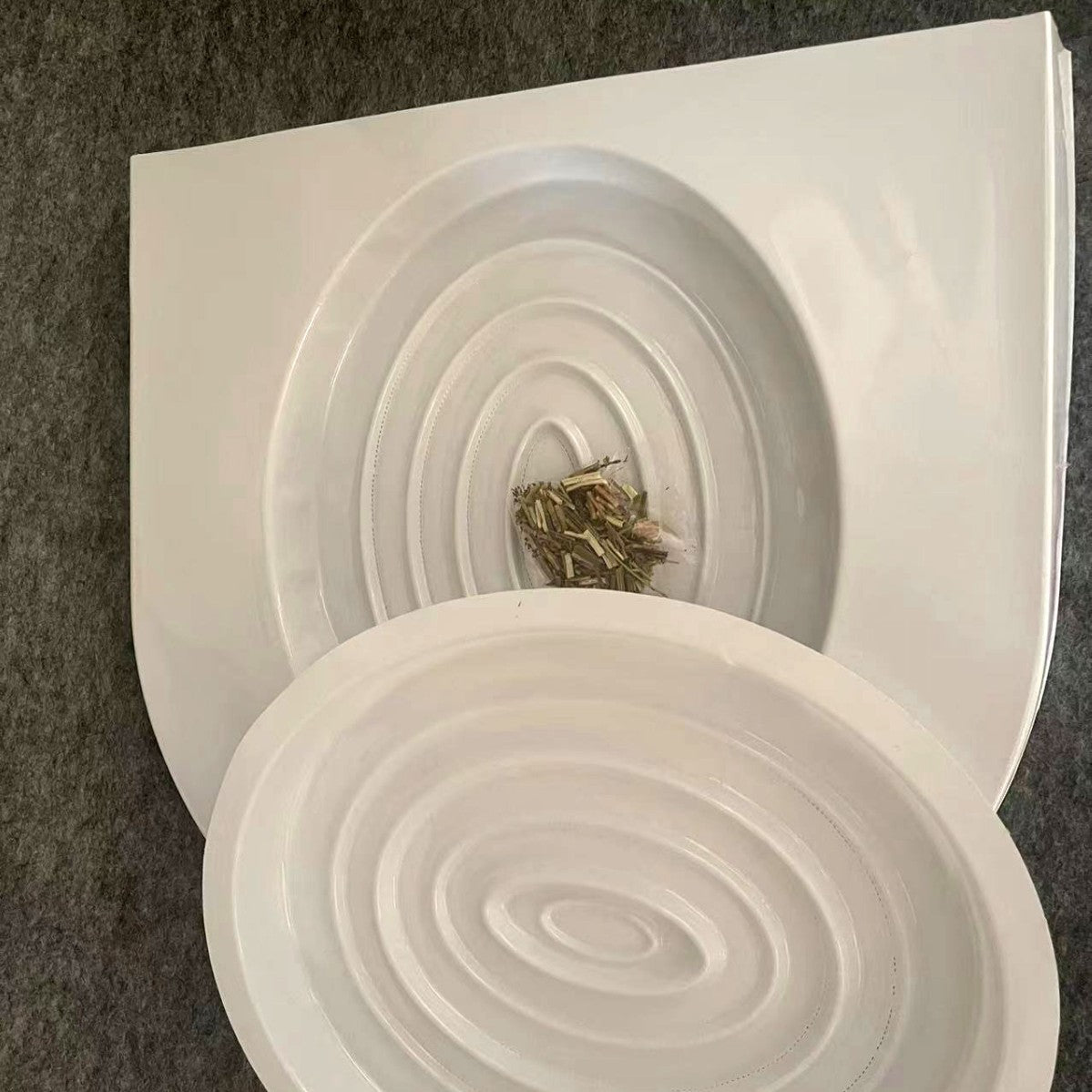 Cat Litter Training Device