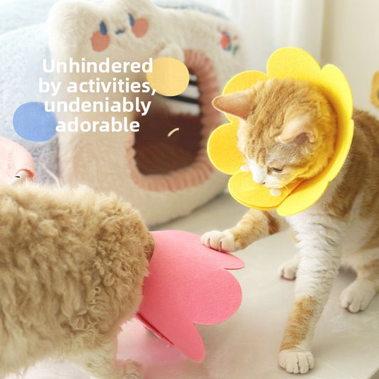 Cat Pet Collar