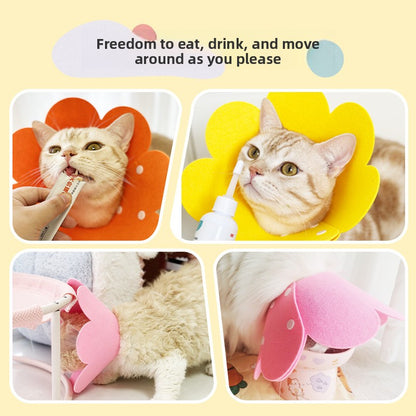 Cat Pet Collar