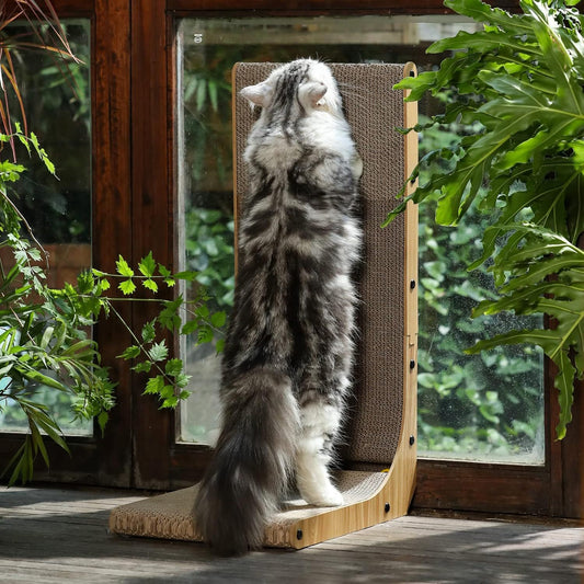 Cat Scratch Board