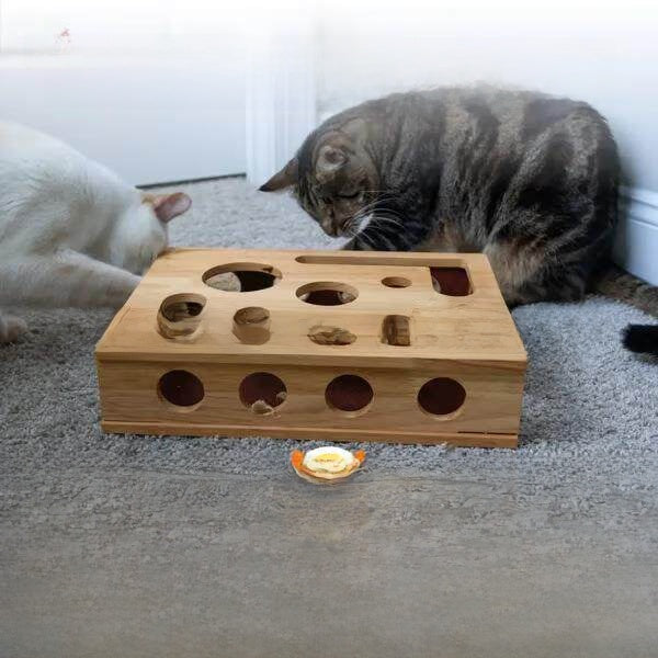 Cat Scratch Puzzle Enrichment Box