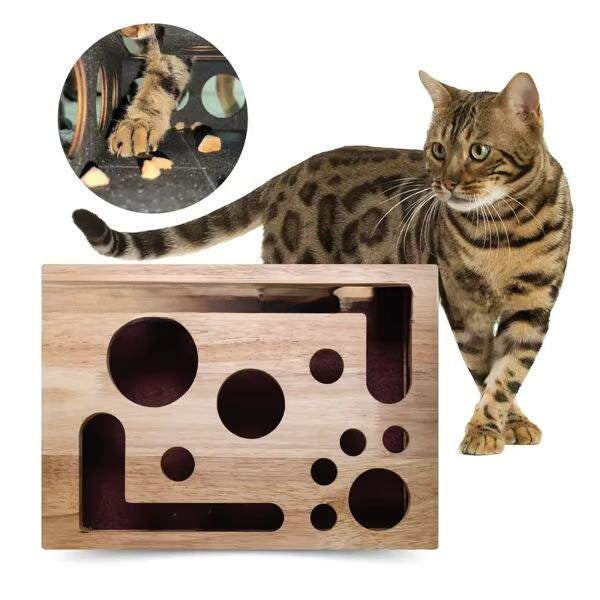 Cat Scratch Puzzle Enrichment Box