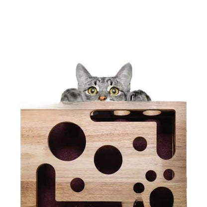 Cat Scratch Puzzle Enrichment Box