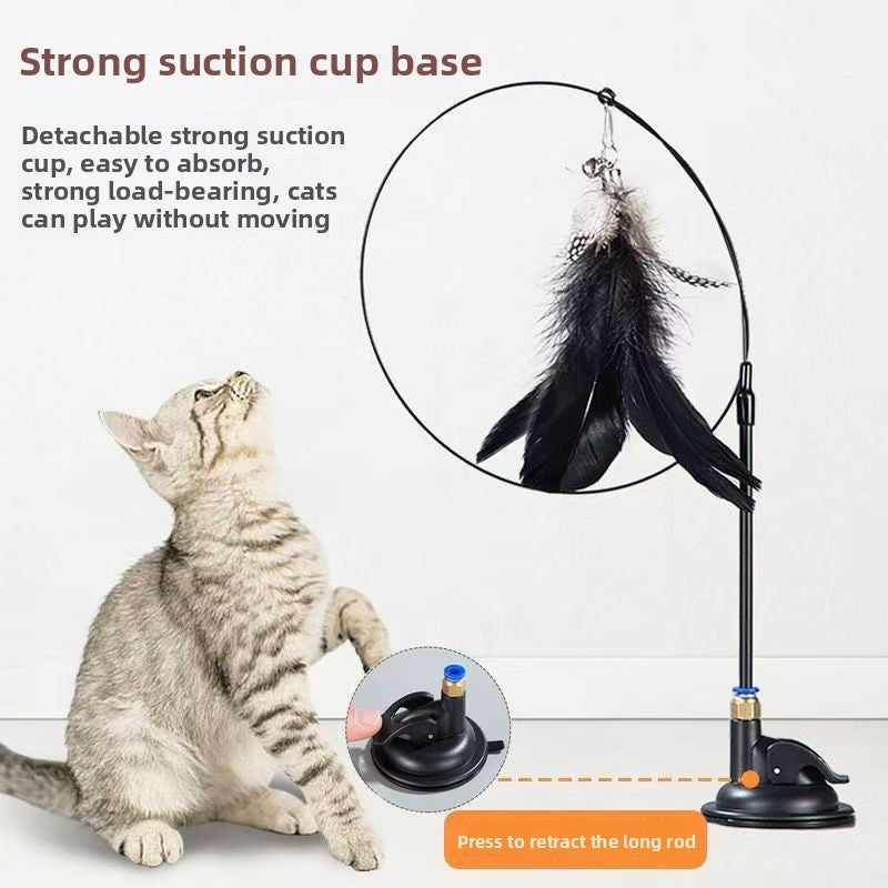 Cat Scratch-Resistant Toy