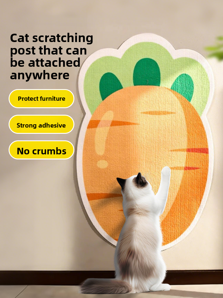 cat scratching board