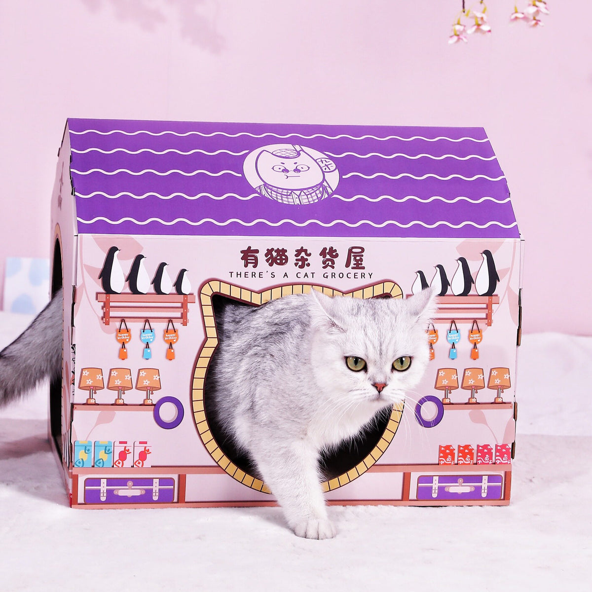 Cat Scratching Board House
