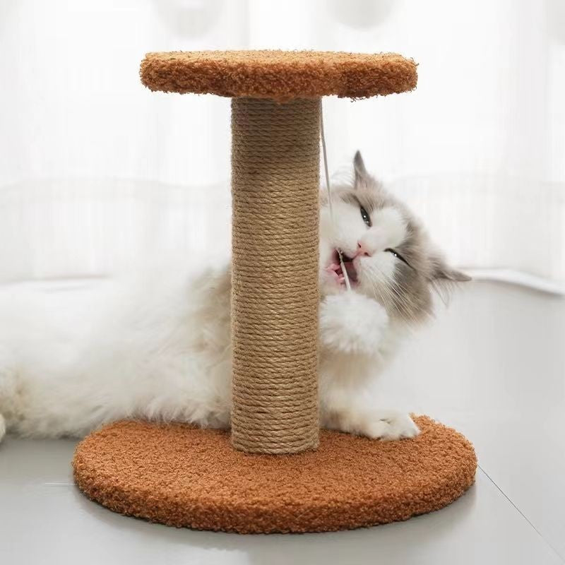 Cat Scratching Board