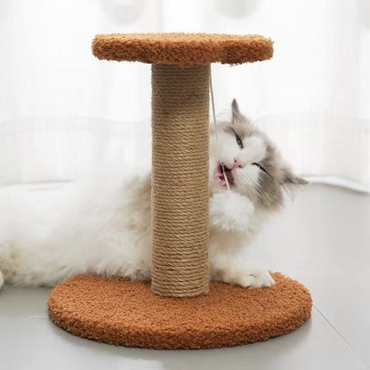 Cat Scratching Board