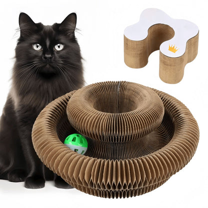 Cat Scratching Board