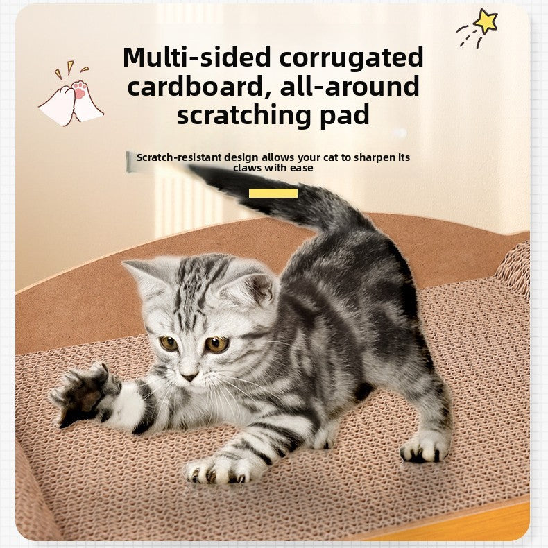 cat scratching house
