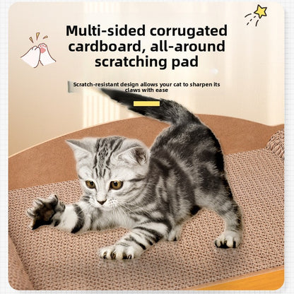 cat scratching house