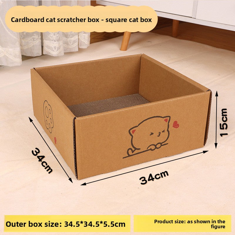 cat scratching house