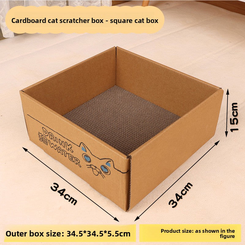 cat scratching house