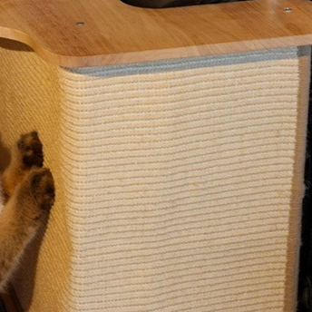 Cat scratching post beside the sofa