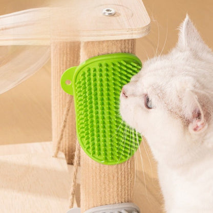 Cat Scratching Post