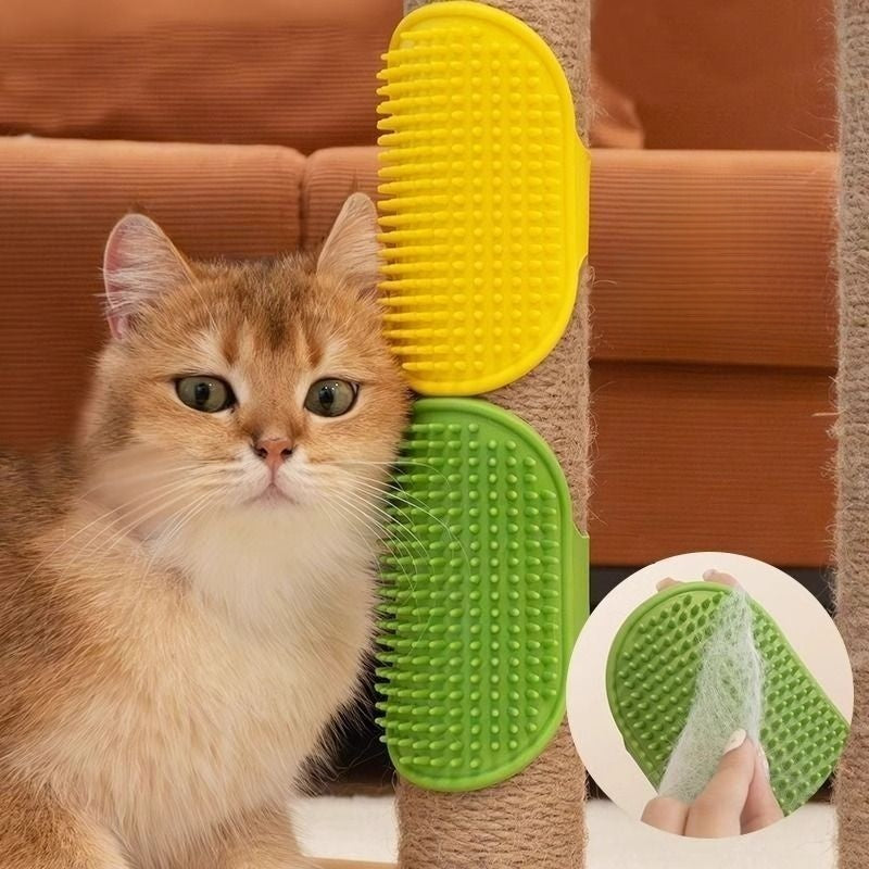 Cat Scratching Post