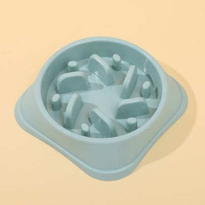 Cat Slow-Feeding Bowl
