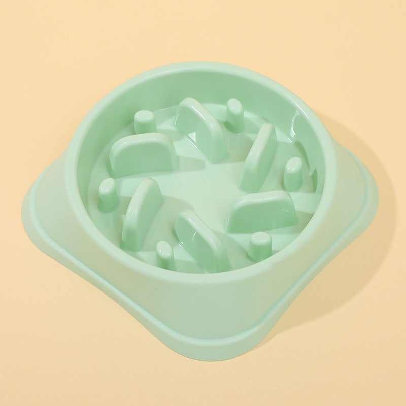 Cat Slow-Feeding Bowl