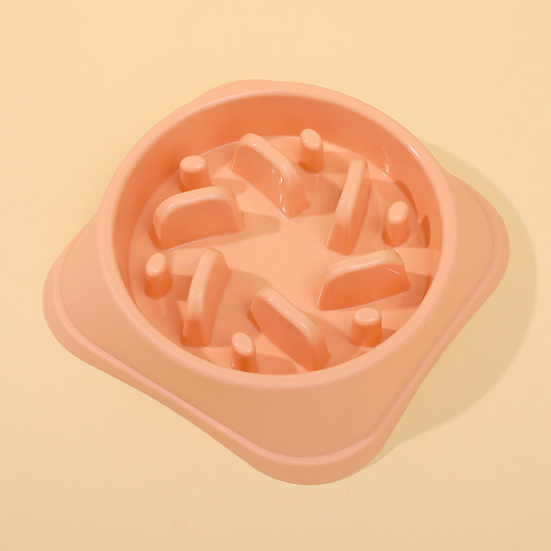 Cat Slow-Feeding Bowl