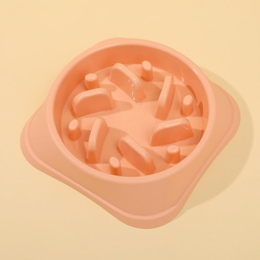 Cat Slow-Feeding Bowl