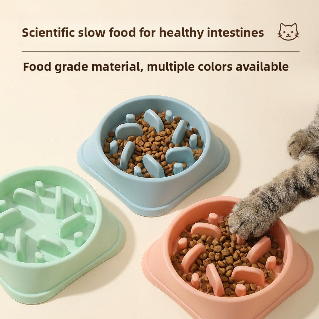 Cat Slow-Feeding Bowl