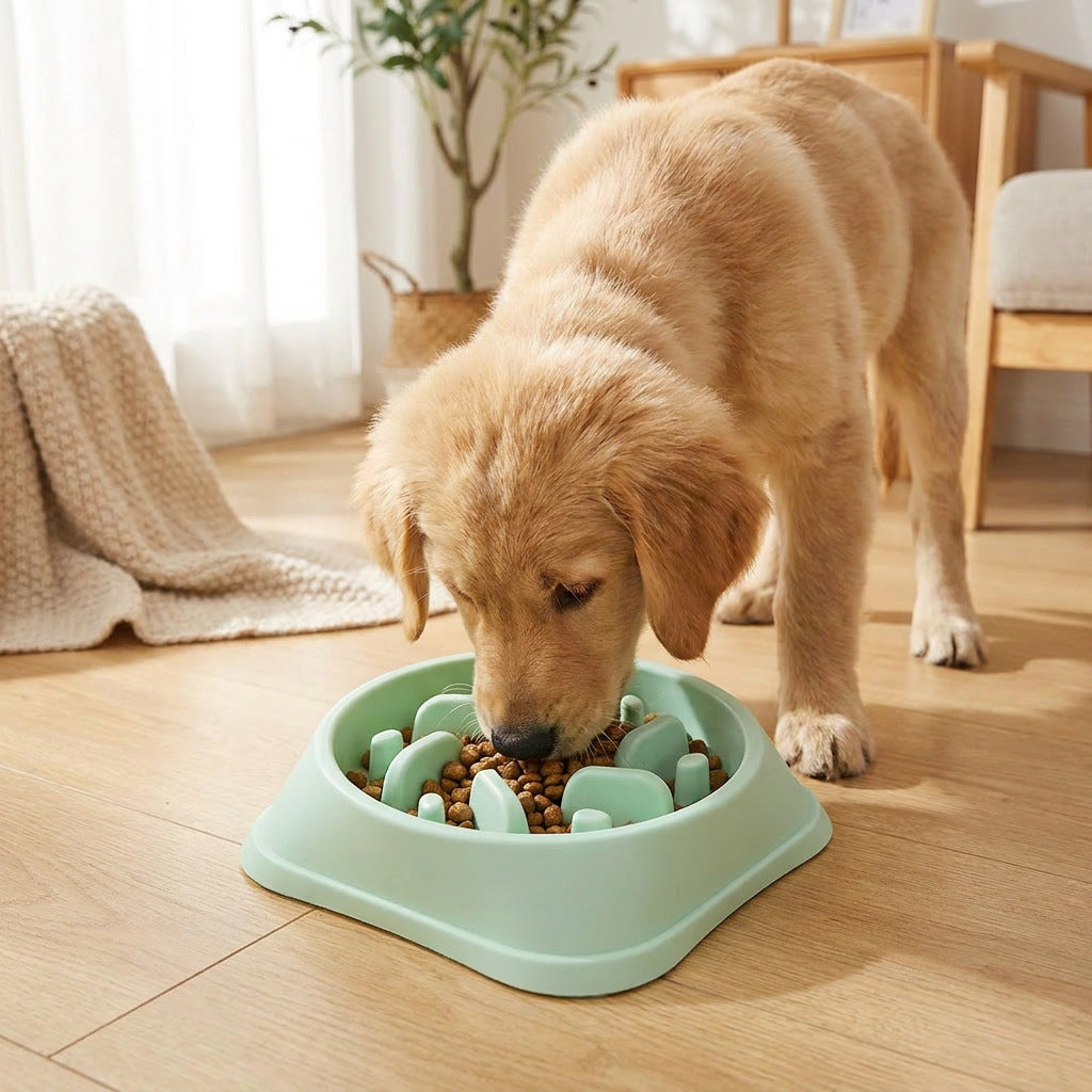 Cat Slow-Feeding Bowl