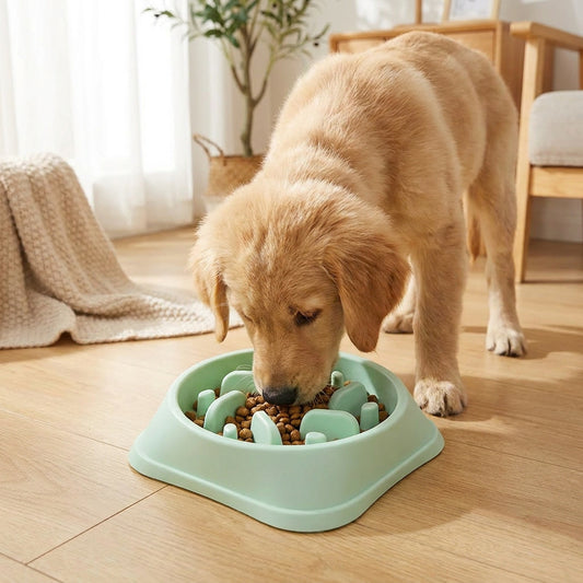Cat Slow-Feeding Bowl