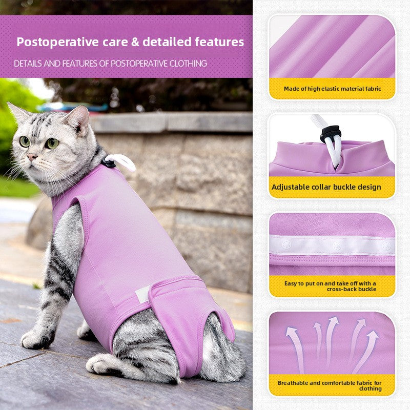 Cat Surgery Recovery Suit
