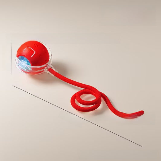 Cat teaser toy ball