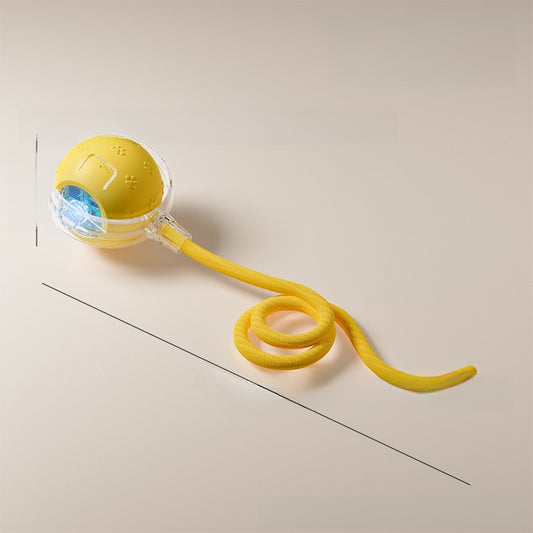 Cat teaser toy ball