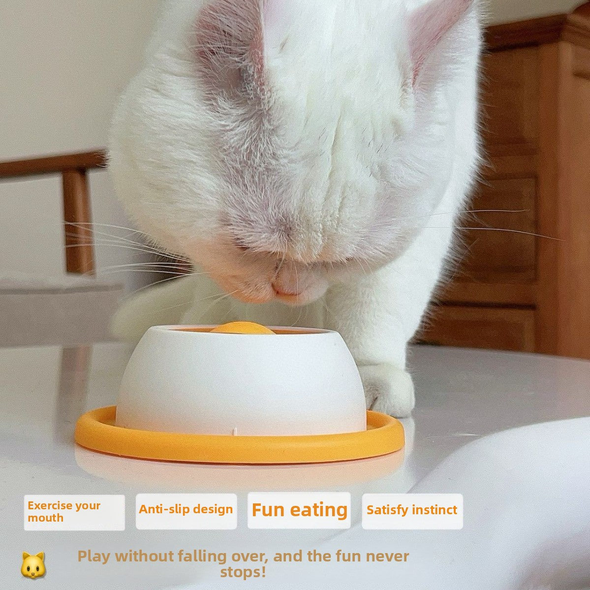 Cat teaser toy