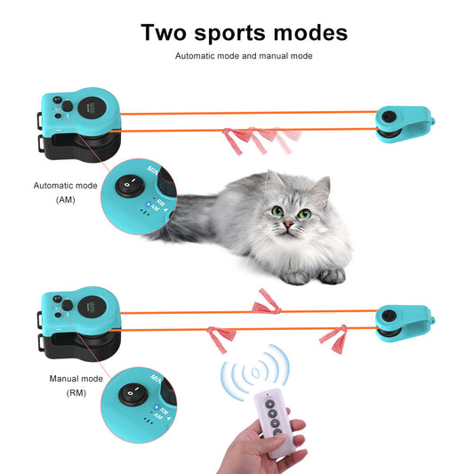 Cat teasing sound toy