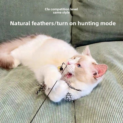 Cat Teasing Stick