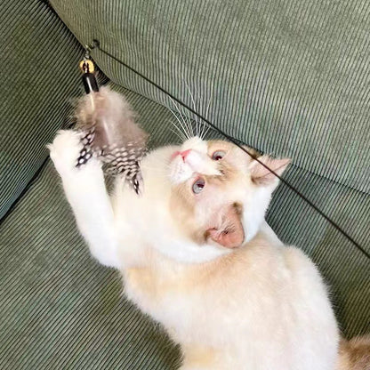 Cat Teasing Stick