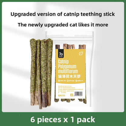 Cat toothbrush stick