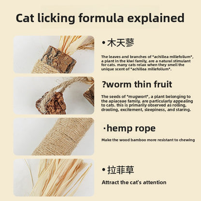 Cat toothbrush stick