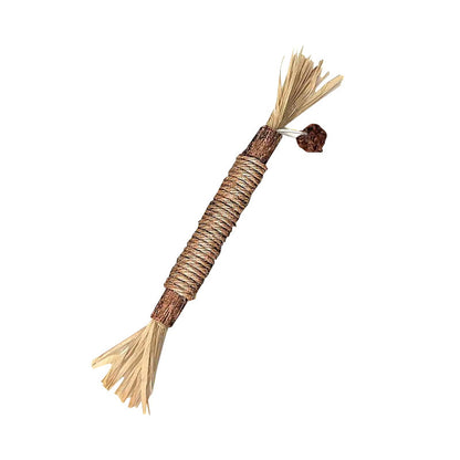 Cat toothbrush stick