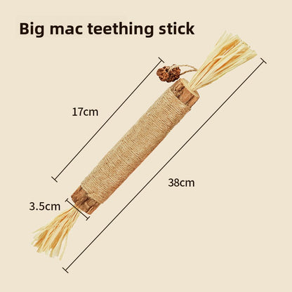 Cat toothbrush stick