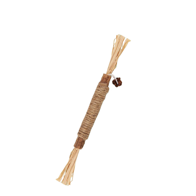 Cat toothbrush stick
