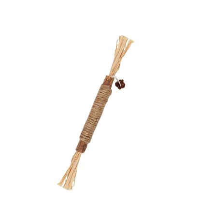 Cat toothbrush stick