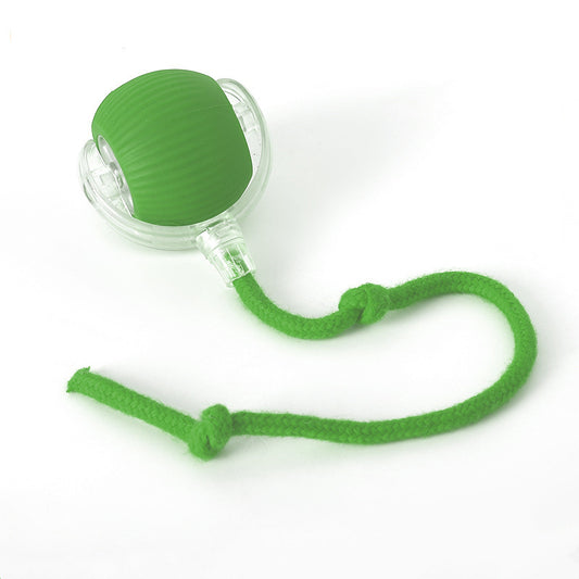 cat toy ball