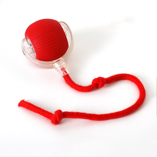 cat toy ball