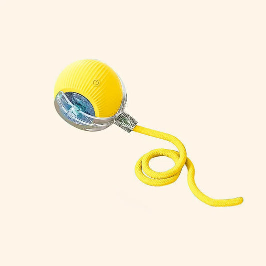 cat toy ball
