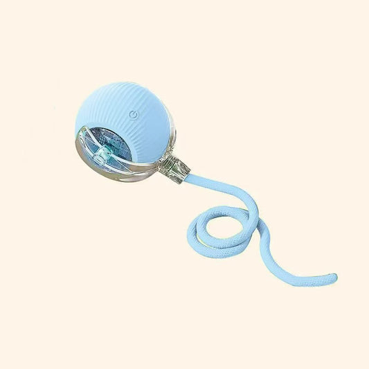 cat toy ball