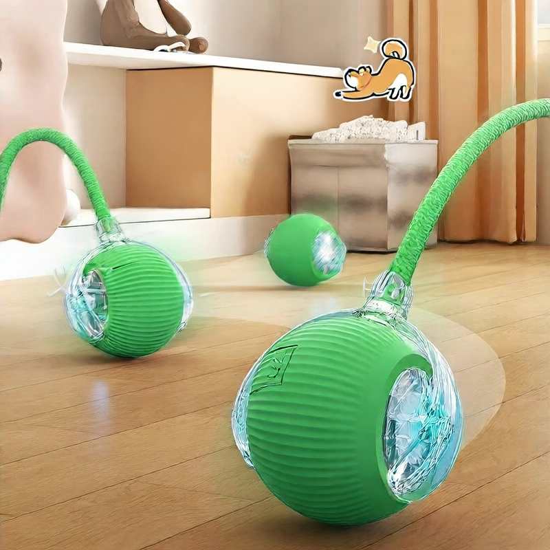 Cat toy ball