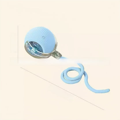 Cat toy ball
